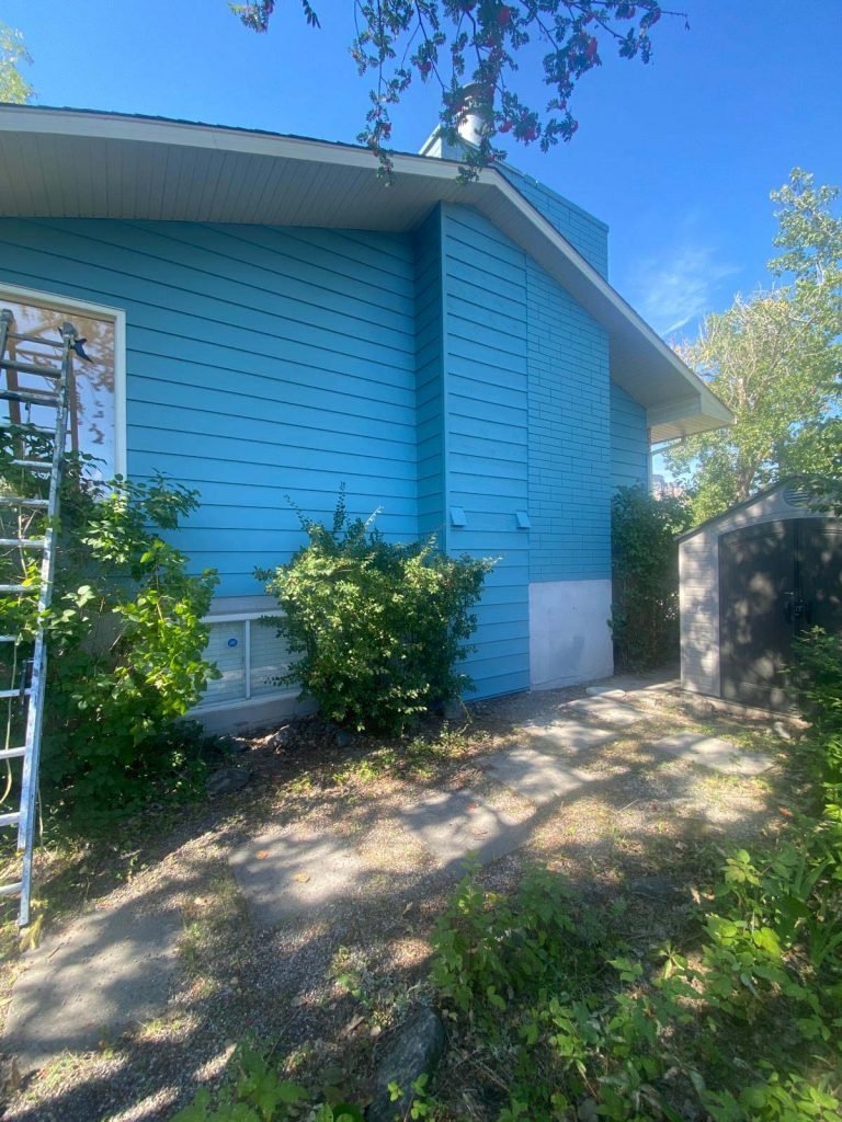 Vinyl siding painting