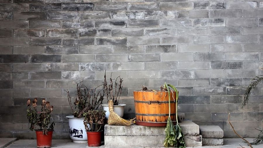 wall-plant-quaint-gray